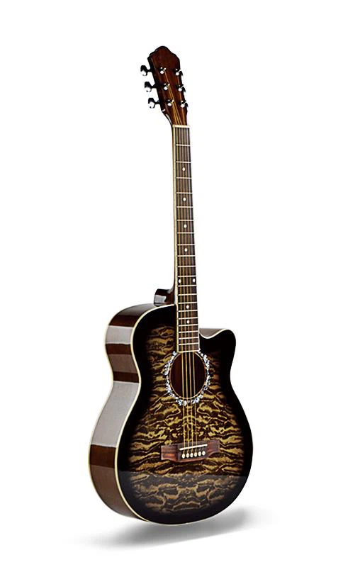 সেরা অ্যাকোস্টিক গিটার